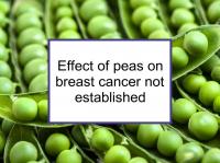 Effect of peas on breast cancer not established
