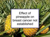 Effect of pineapple on breast cancer not established