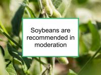 Soybeans are recommended in moderation