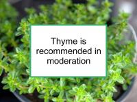 Thyme is recommended for breast cancer in moderation