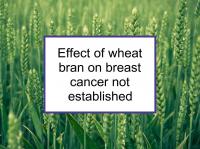 Effect of wheat bran on breast cancer not established