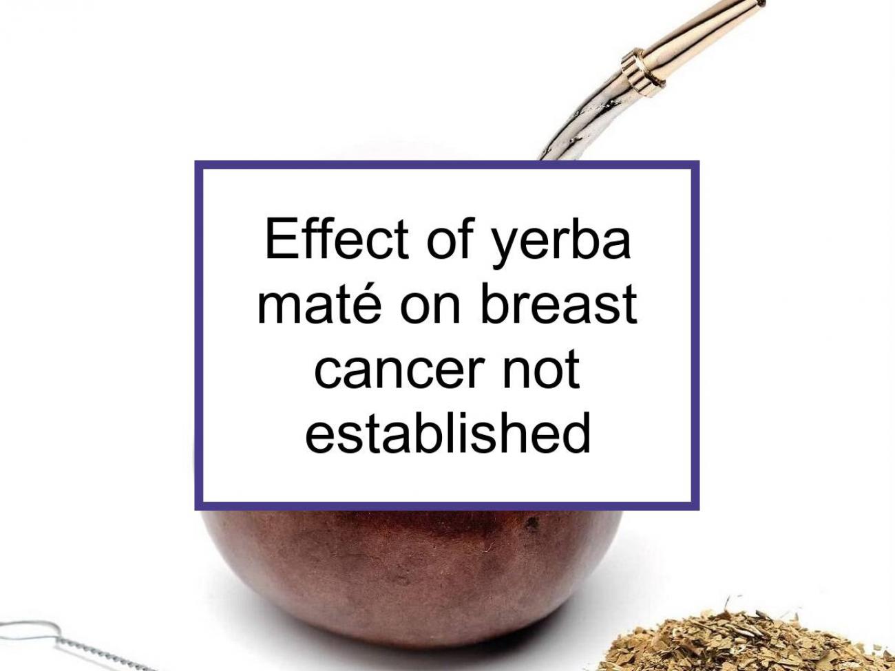 scheuren ontwikkelen Kwadrant Studies Have Not Established The Effect Of Yerba Maté On Breast Cancer |  Food for Breast Cancer