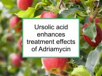 Ursolic acid enhances treatment effects of Adriamycin