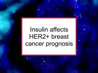 Insulin affects HER2+ breast cancer prognosis