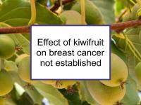 Effect of kiwifruit on breast cancer not established