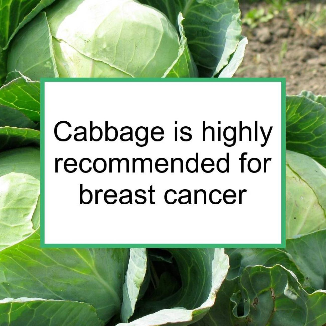 Nutritious Negligee: The Cabbage Bra is Edible Support