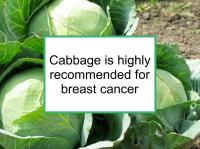 Cabbage is highly recommended for breast cancer