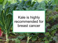 Kale is highly recommended for breast cancer