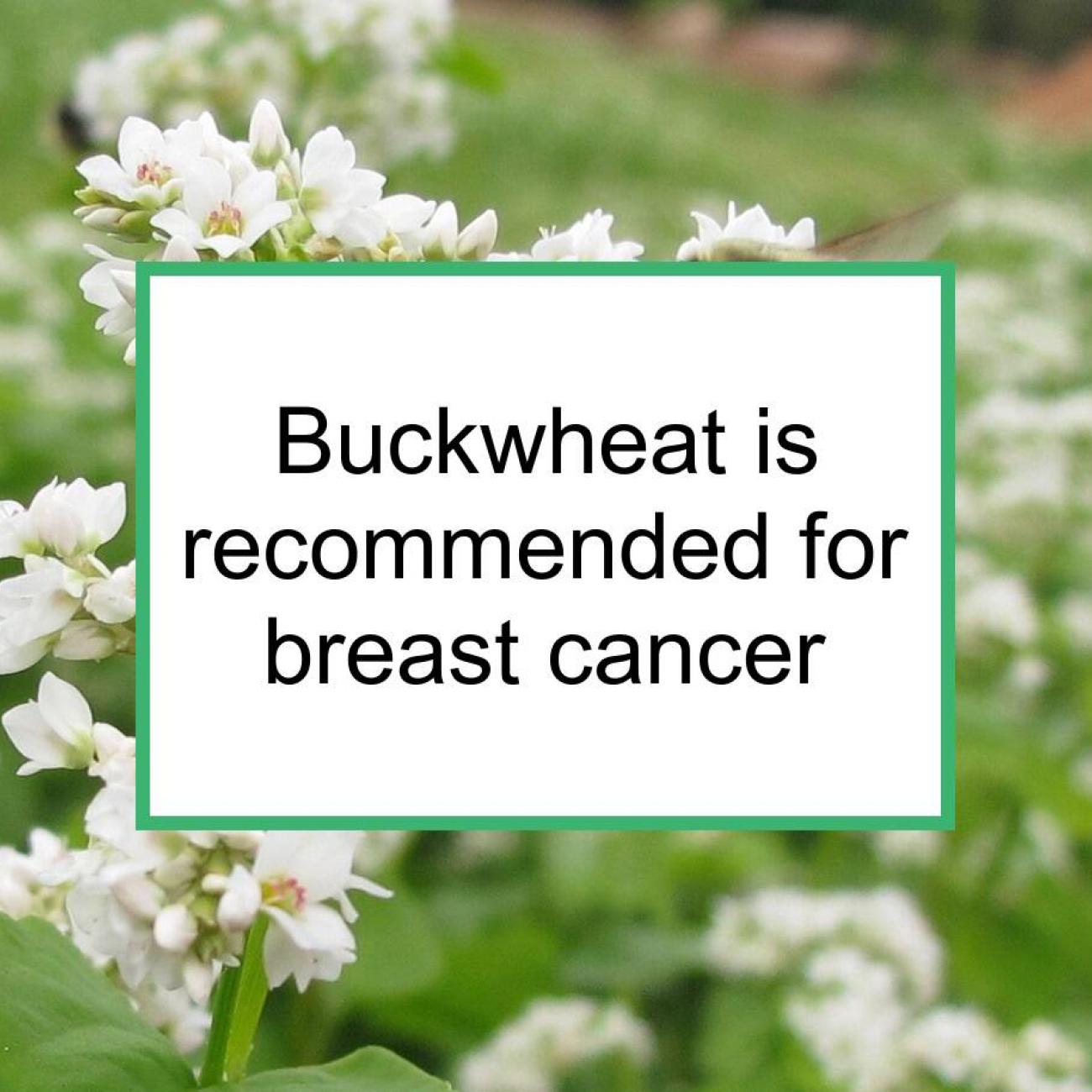 Buckwheat Is Recommended For Breast Cancer | Food for Breast Cancer