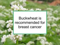 Buckwheat is recommended for breast cancer