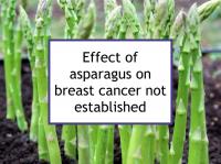 Asparagus is not recommended for breast cancer