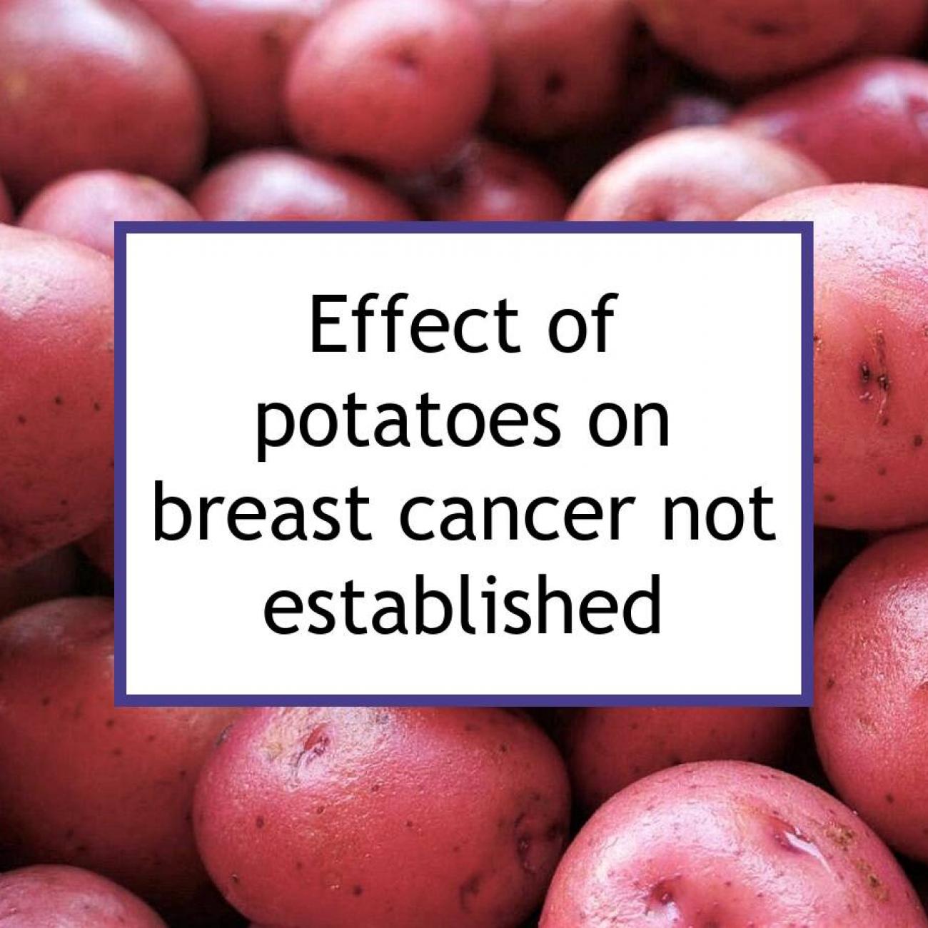 Are Sweet Potatoes Bad For Dogs With Cancer are-sweet-potatoes-bad-for-dogs-with-cancer