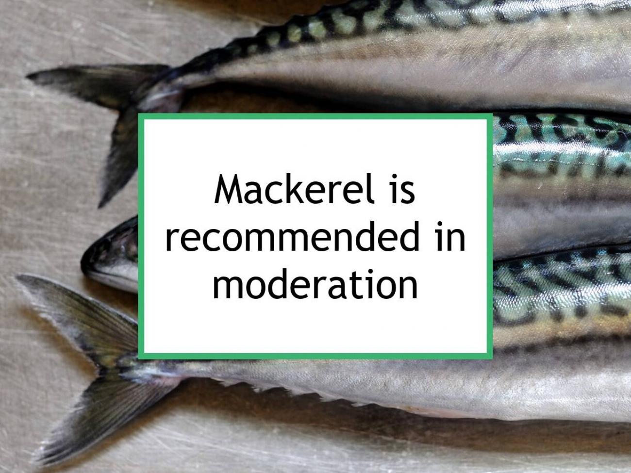 Mackerel Is Recommended For Breast Cancer In Moderation