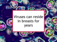 Viruses can reside in breasts for years