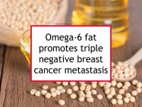 Omega-6 fat promotes triple negative breast cancer metastasis