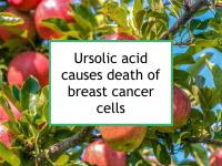 Ursolic acid causes death of breast cancer cells