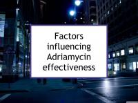 Factors influencing Adriamycin effectiveness