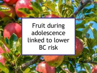 Fruit during adolescence linked to lower BC risk