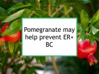 Pomegranate may help prevent ER+ BC