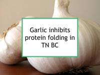 Garlic inhibits triple negative BC