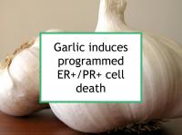 Garlic induces ER+/PR+ cell death