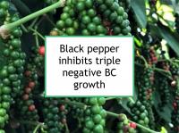 Black pepper inhibits triple negative BC growth