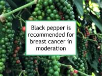 Black pepper is recommended for breast cancer in moderation