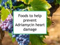 Foods to help prevent Adriamycin heart damage