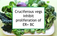 Cruciferous vegs inhibit proliferation of ER+ BC