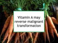 Vitamin A may reverse malignant transformation
