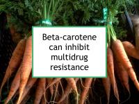 Beta-carotene can inhibit multidrug resistance