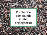 Purple rice compounds inhibit angiogenesis