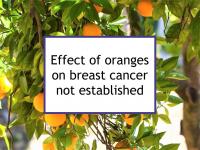 Effect of oranges on breast cancer not established
