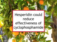 Hesperidin could reduce effectiveness of cyclophosphamide