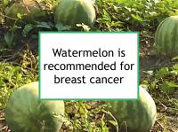 Watermelon is recommended for breast cancer