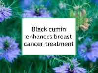 Black cumin enhances breast cancer treatment