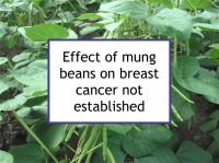 Effect of mung beans on breast cancer not established