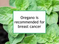 Oregano is recommended in moderation for breast cancer