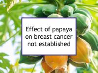 Effect of papaya on breast cancer not established