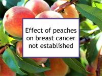 Effect of peaches on breast cancer not established
