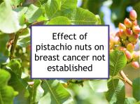 Effect of pistachio nuts on breast cancer not established