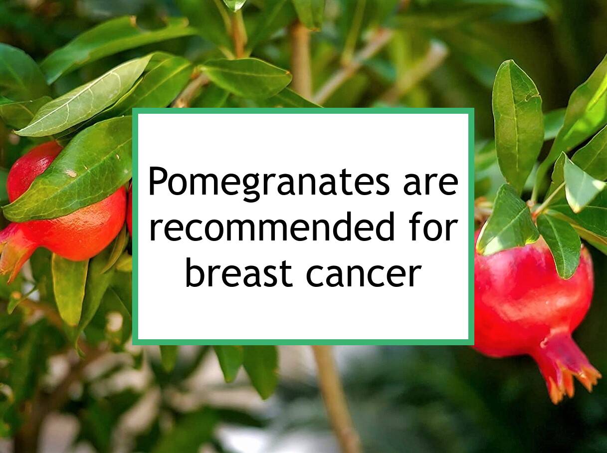 Pomegranates Are Recommended For Breast Cancer Food for Breast