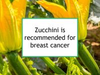 Zucchini is recommended for breast cancer