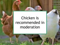 Chicken is recommended in moderation