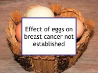 Effect of eggs on breast cancer not established