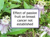Effect of passion fruit on breast cancer not established