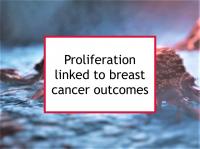 Proliferation linked to breast cancer outcomes