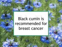 Black cumin is recommended for breast cancer
