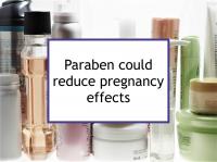 Paraben could reduce pregnancy BC effects