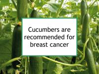Cucumbers are recommended for breast cancer